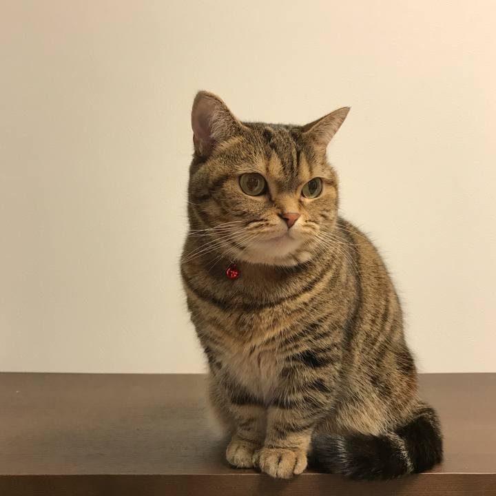 Bb3decd7 5a47 45ff a02f e7627ad5b40f 1514973577638