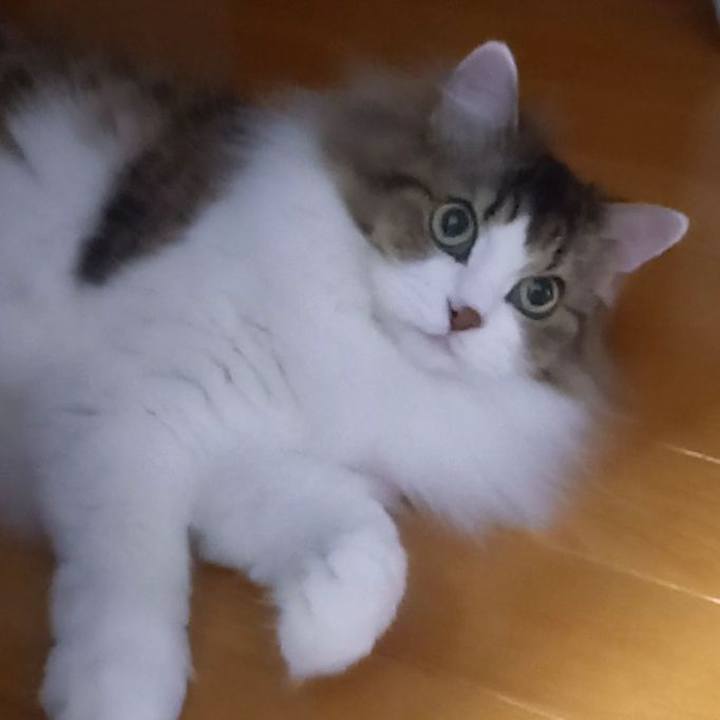 Bb3e25a6 d75f 4fc5 a12b aebc116d7bd5 1658524879464