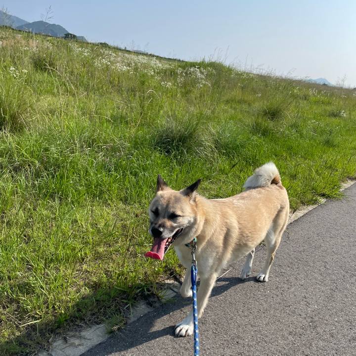 Bb3e29ce e1a4 47c6 a38b 5135cf144a65 1655556146229