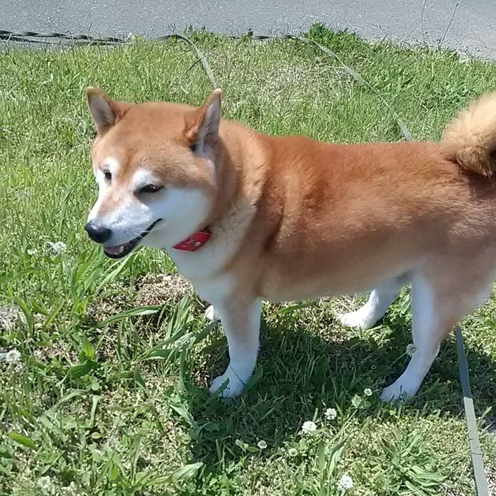 Bb3e348e fc3f 4a08 83c6 717b5ebaa38b 1683963901365