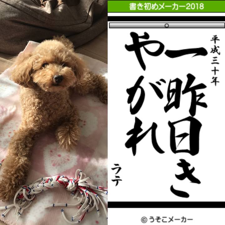 Bb3e7b0d 81fc 47f5 b52b 261e42498070 1514874994957