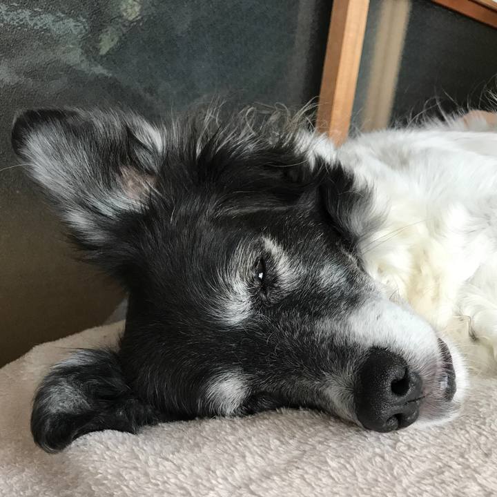 Bb3e875c 36cd 452e 8684 5b972fe9beb2 1523409582824