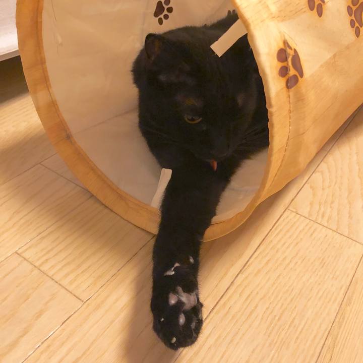 Bb3eab89 09ba 4ef3 a67c 15d1730dbce6 1582950702692