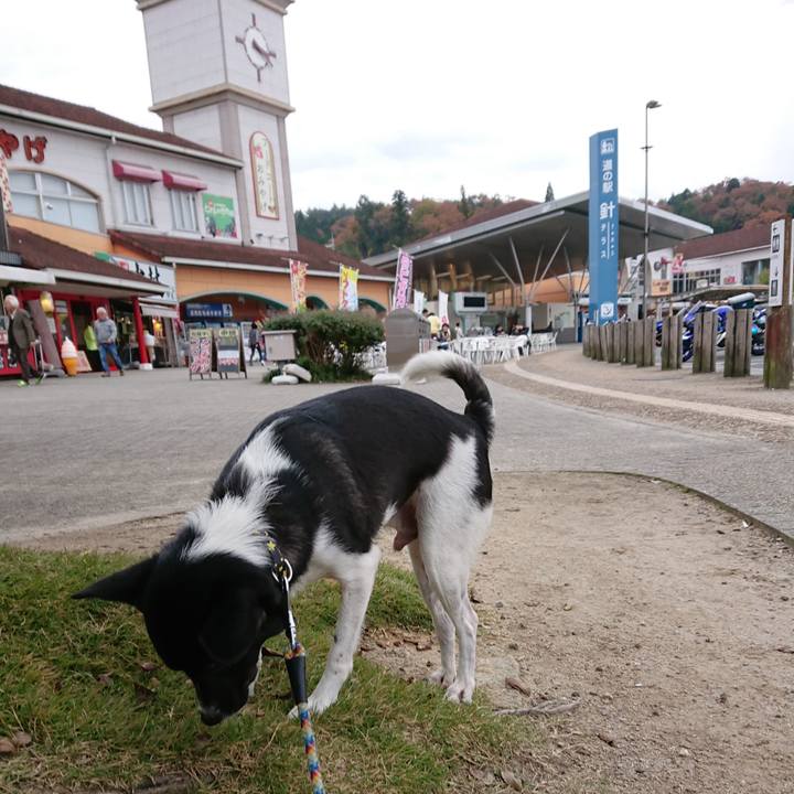 Bb3efa09 03fa 470a a3fa 8cb8400eb443 1542016301344