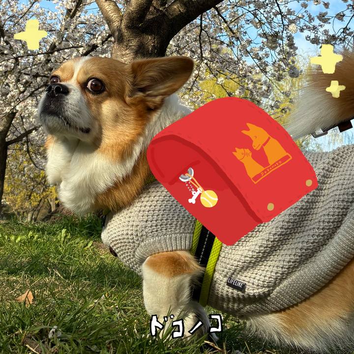 Bb3f3d60 ed36 4676 a998 ba6f0d98cbd0 1744337034483