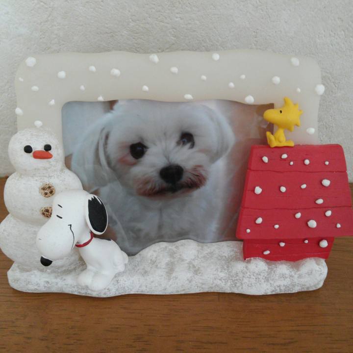 Bb3f7574 428c 42a9 9d61 f5e4f85e0584 1510285361346