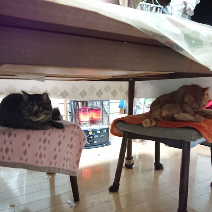 Bb3f8164 6280 4147 b65c bc3619033260 1639428995812