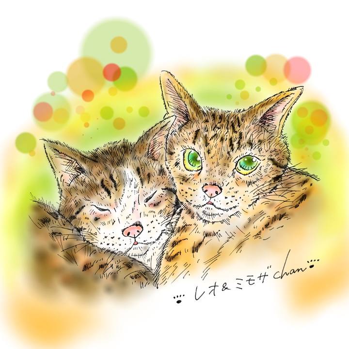 Bb3f895a 8755 4d98 9b50 936821fb1f00 1588012230588