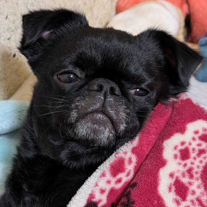 Bb3f9d7a 9d44 419f 87f7 6915dffb7c84 1767710881970