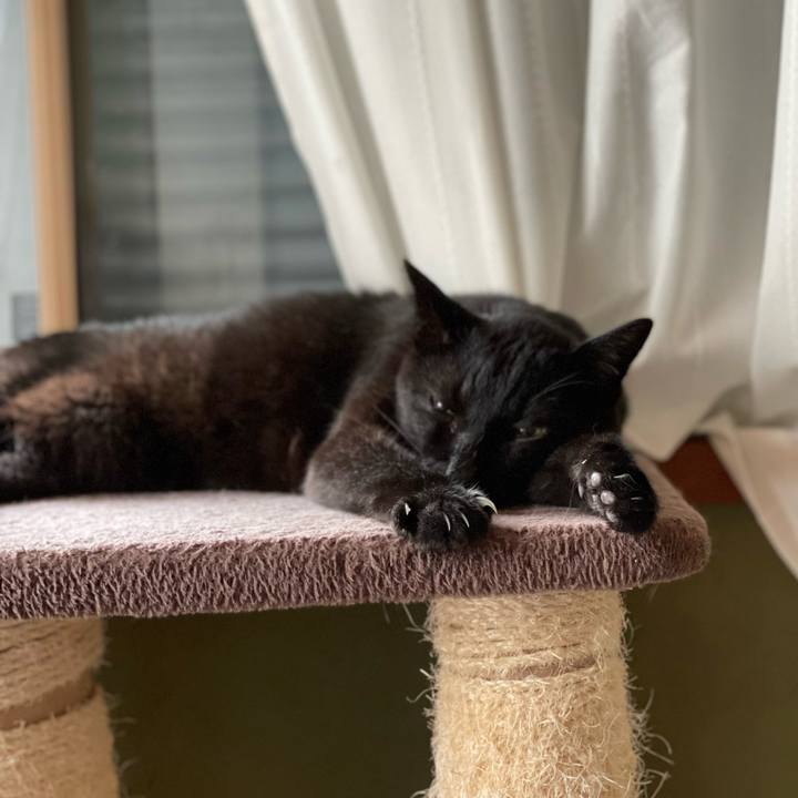 Bb3fcd07 e9a0 44ba a64b f57cecbe8d32 1660864796012