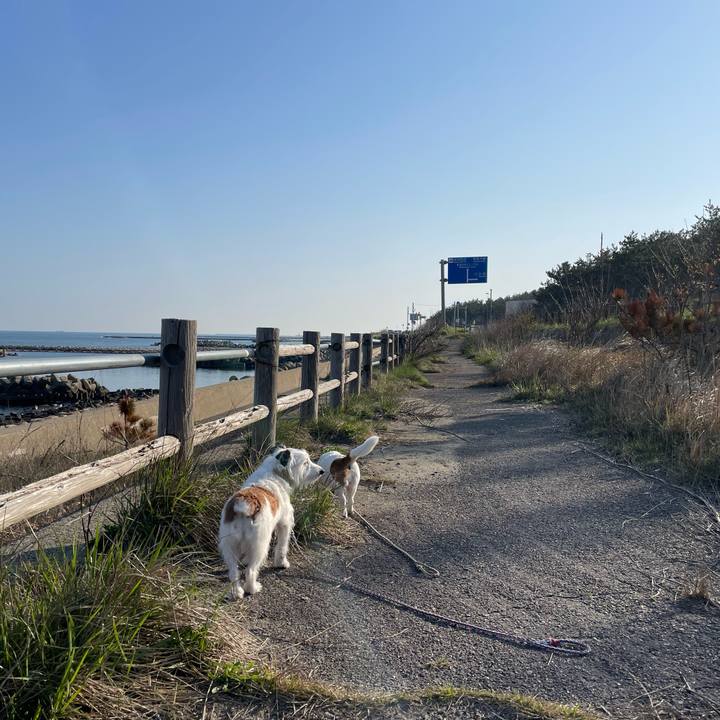 Bb401283 9c95 4603 bdaf 59a51fb42baa 1680477294587