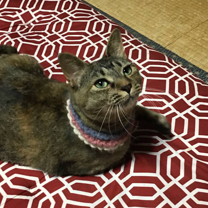 Bb402b2d 4afe 4f8d ac1f 105e637a4456 1626348403605