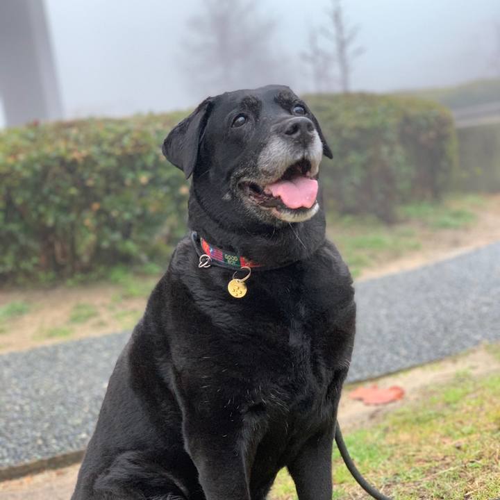 Bb4055e8 969d 4f28 8464 c7b77979280e 1581556399407