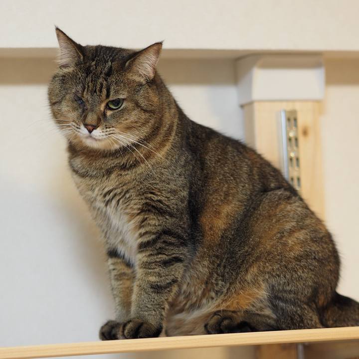 Bb40629f fe5d 4bfa 9c99 75c9933d643d 1565956612062