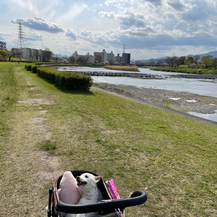 Bb407f8b 46db 44f2 8ac4 7c4a3cbe02ba 1680434125331