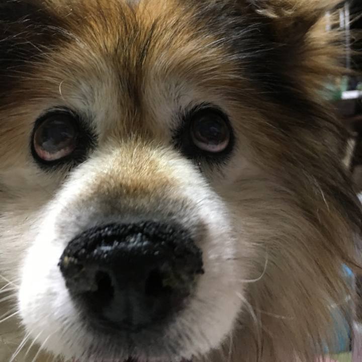 Bb4087b0 830e 4cdc 8170 b73b69597d8b 1562314737592