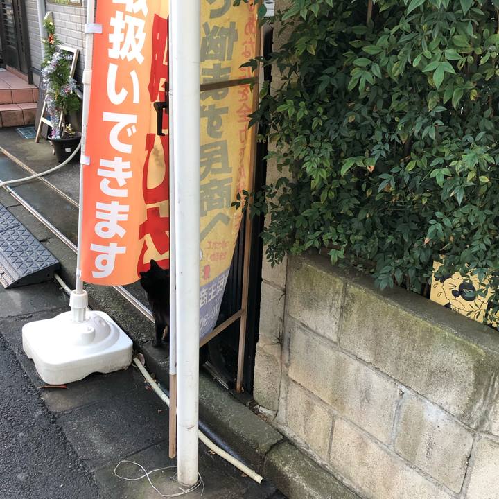 Bb408e66 48fc 4e88 9f5d eedd840768a4 1545276073785