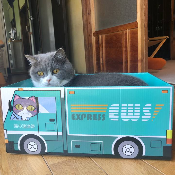 Bb40c208 120e 4c68 830e 5357e46d6090 1591582189303