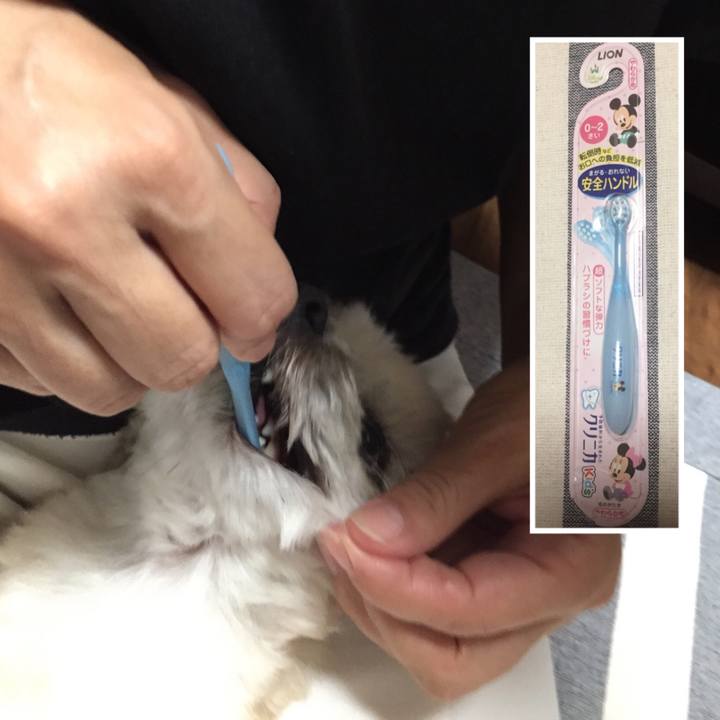 Bb40ff25 f081 4f22 a0ec 45a4f162d18f 1560947435990