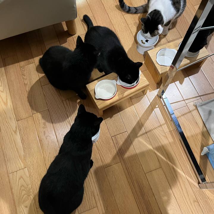 Bb410afb 9a24 43e1 bc3a 3cf3aafcf4d4 1663830320359