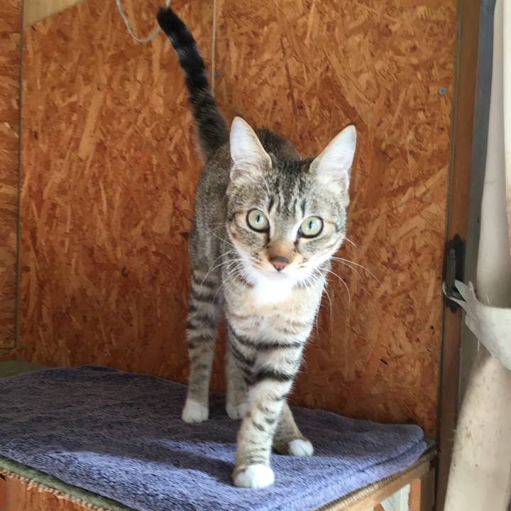 Bb411972 7d9d 436b 8671 c4428709d52d 1580553838287