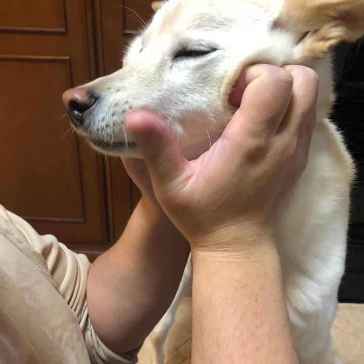 Bb412b6f 32f6 4e34 8f14 bab41887f070 1705226709419