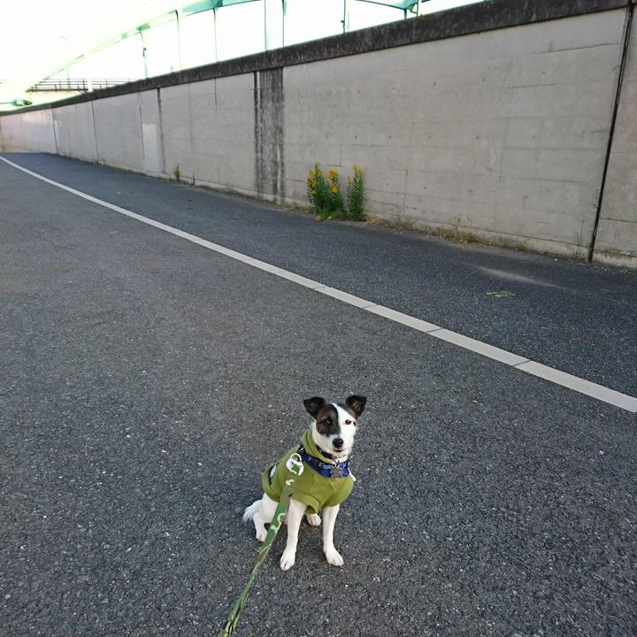 Bb413088 32cc 4a0d b059 179a49ee5a4a 1510869976762