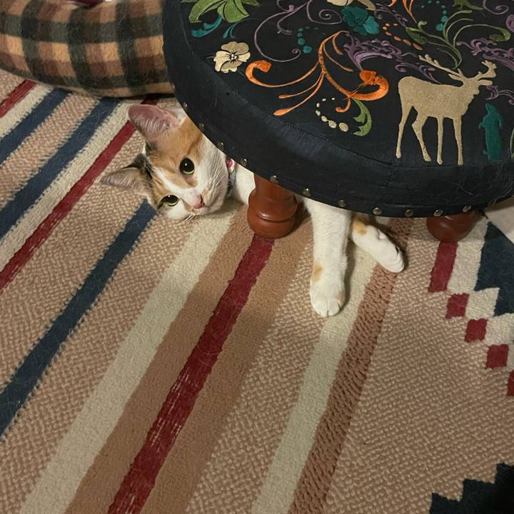 Bb4135d2 bd98 472d 9b59 617347c0e27b 1693049854091