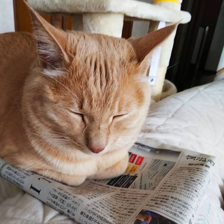 Bb4151f7 6c0d 4739 898d f56423c8d3d7 1620008597179