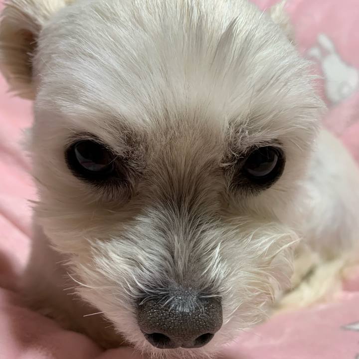 Bb417e96 d57b 48e9 8b65 2b666420ab78 1640690196627