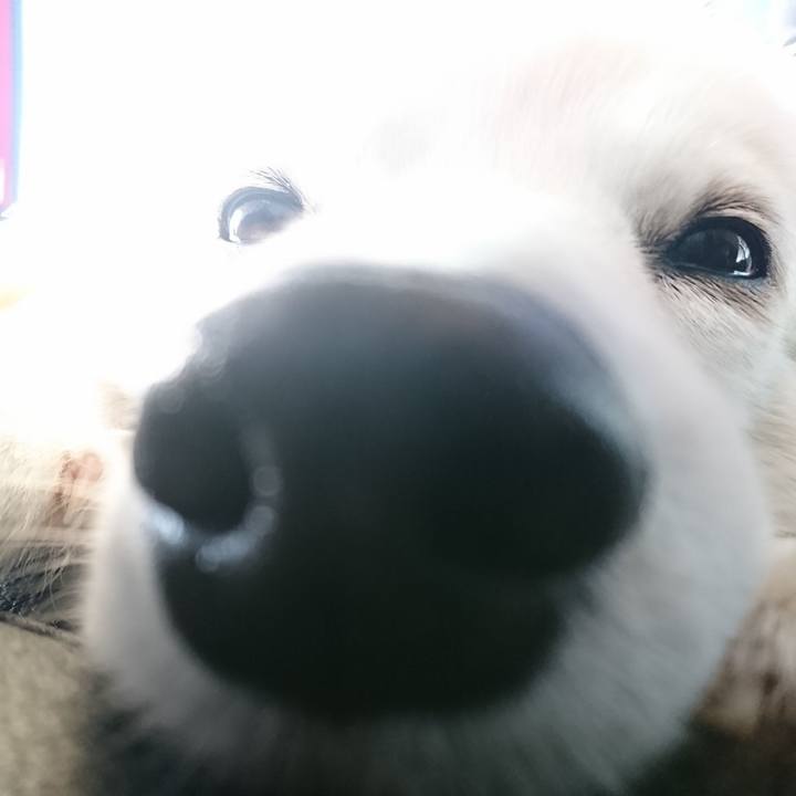 Bb4180bf 7c8c 47dc bb47 8bd996318cf4 1548485530101