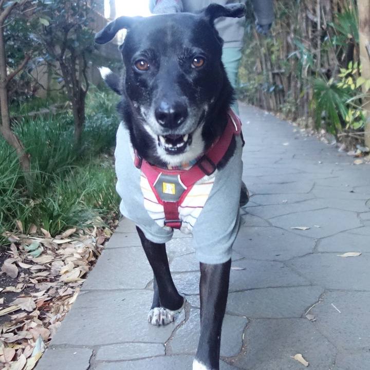 Bb4204f2 3215 4b6c a144 ffc1ab34ed78 1702168936821