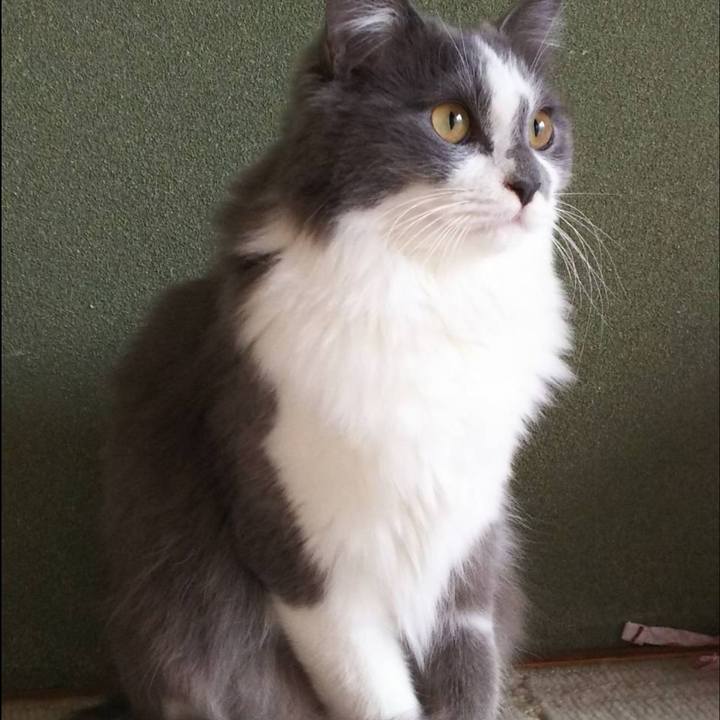 Bb4216fe 16c2 4fc9 8584 4e10063d2efa 1576836491273