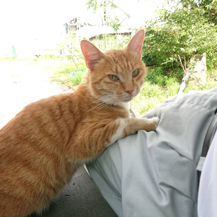 Bb421bfe 7462 4d67 ba2a 68850c66b6f6 1595058855674