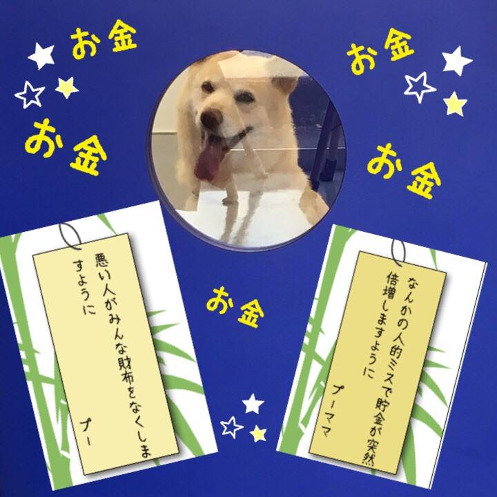 Bb427165 071b 4001 8e20 c72b4104ba3a 1562496430532