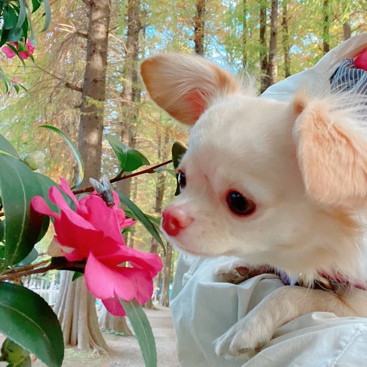 Bb42e1ea 7f67 435d 8e2a 82b4d0b96d02 1636520555687