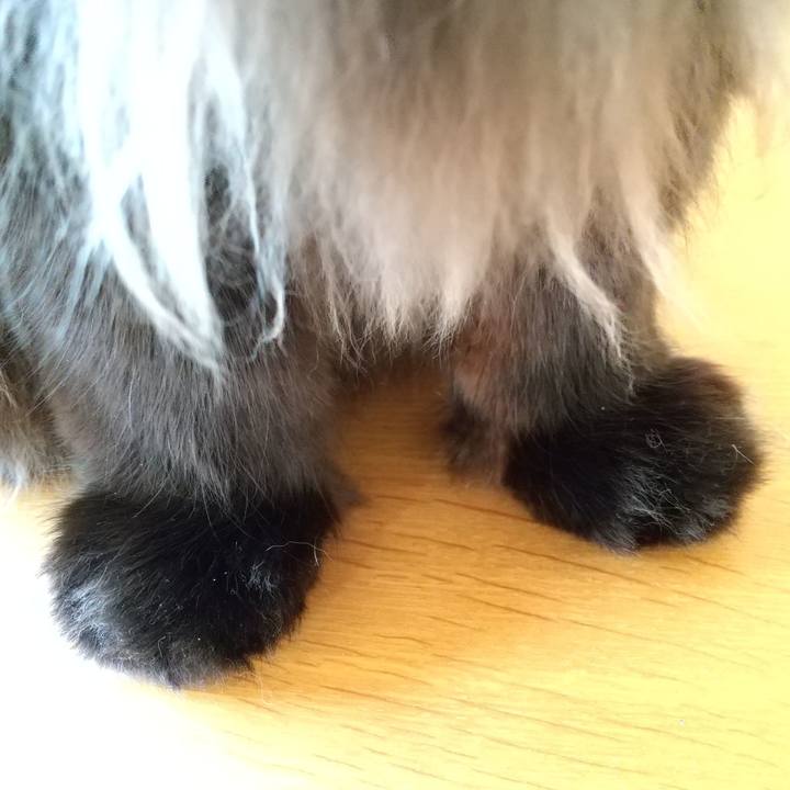 Bb42ea16 3bec 4339 835a 1906d56f601a 1683242742105