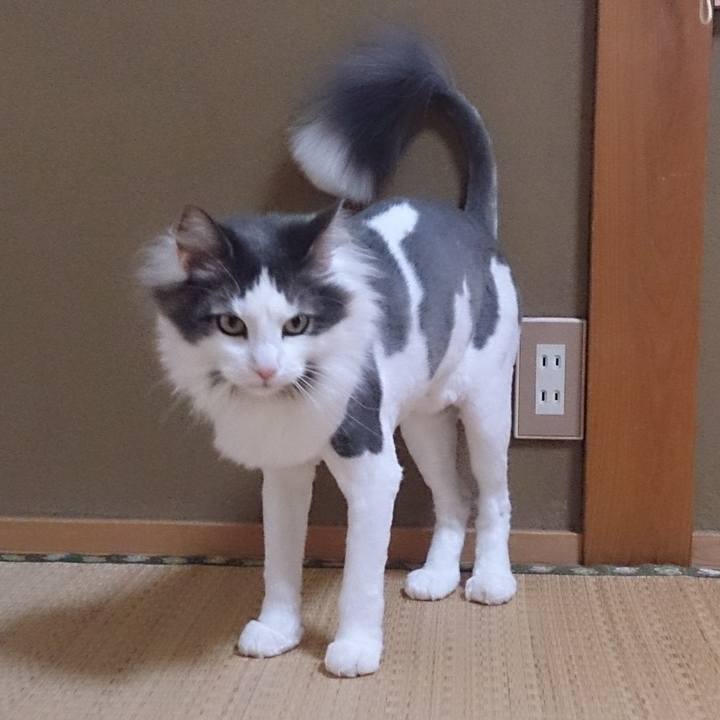 Bb42f478 d19d 4d13 8aff 5653f84b4312 1758717658989