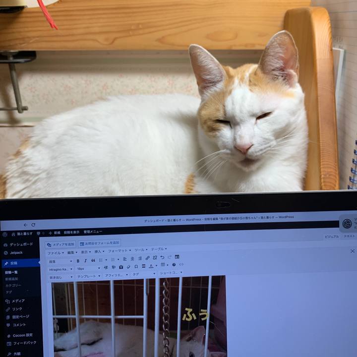 Bb434458 4072 4dfa 8b85 0ba881d60f39 1655071116823