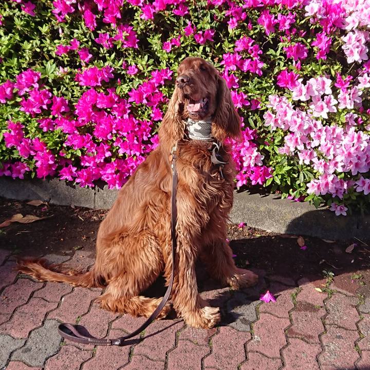 Bb436dfe 238d 4e4f be2c a0f1cbe82f18 1556407582001