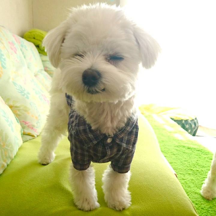 Bb438208 f191 4d86 917b a407836cc779 1519986696776