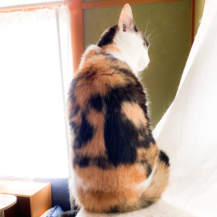 Bb43a567 0f07 4f9d a7c0 798967c715b8 1568599652652