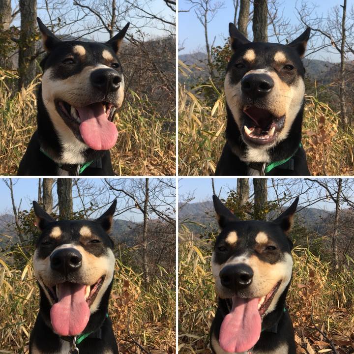 Bb43c516 9879 47a0 9bd8 a733dc808a67 1516542459804