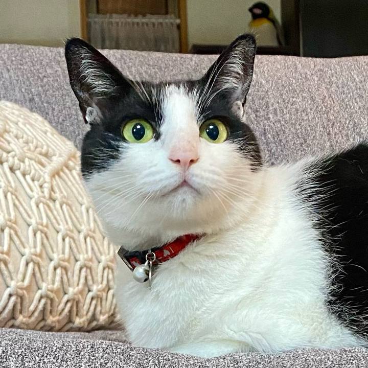 Bb43db59 9159 4508 8fce 93a91d901579 1730196786262