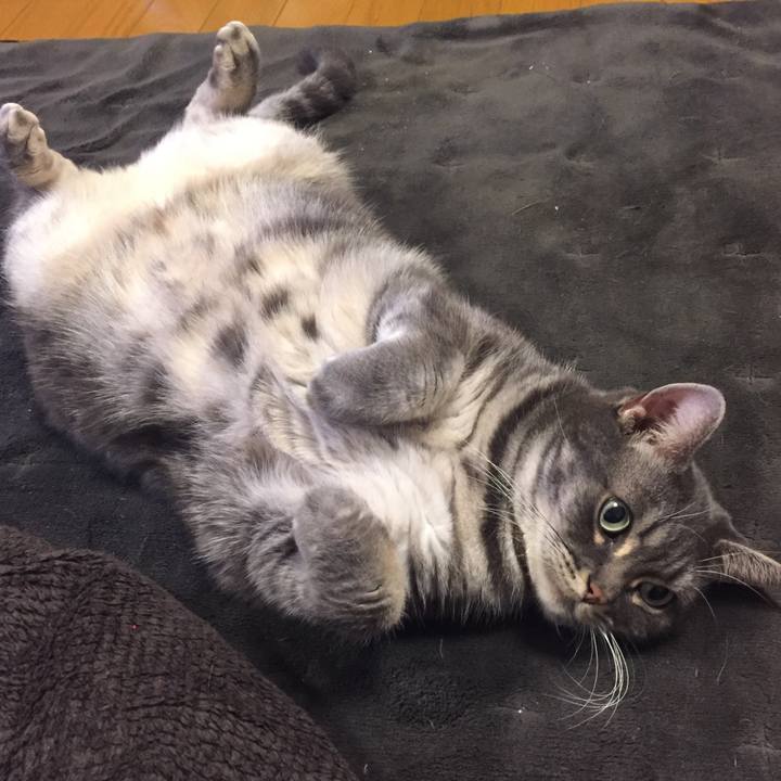 Bb4409d5 ea0e 464f 935f 7cfec95b6045 1515586117491