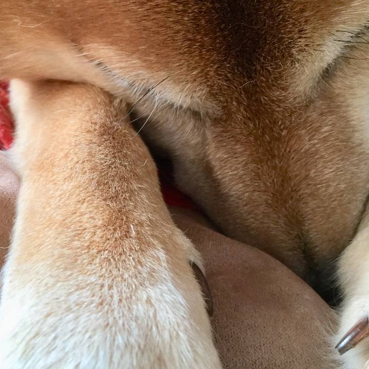 Bb4418e1 d668 45e0 b9a2 c10a11cdf1ef 1554015282161