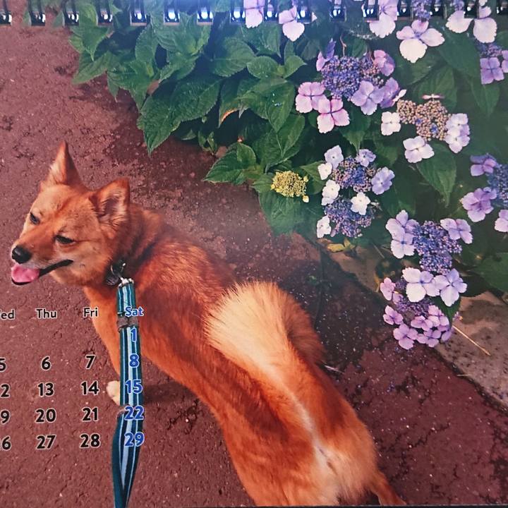 Bb446abe 80dc 4ff6 9156 9fd3a290a818 1559428987045