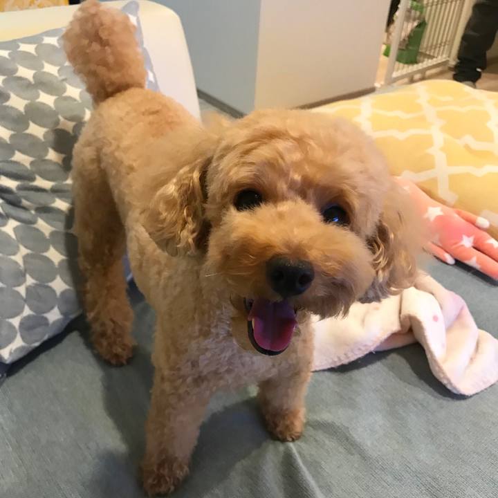 Bb446bde 8eab 4d0d 8e29 a94fa92d008d 1567677906371