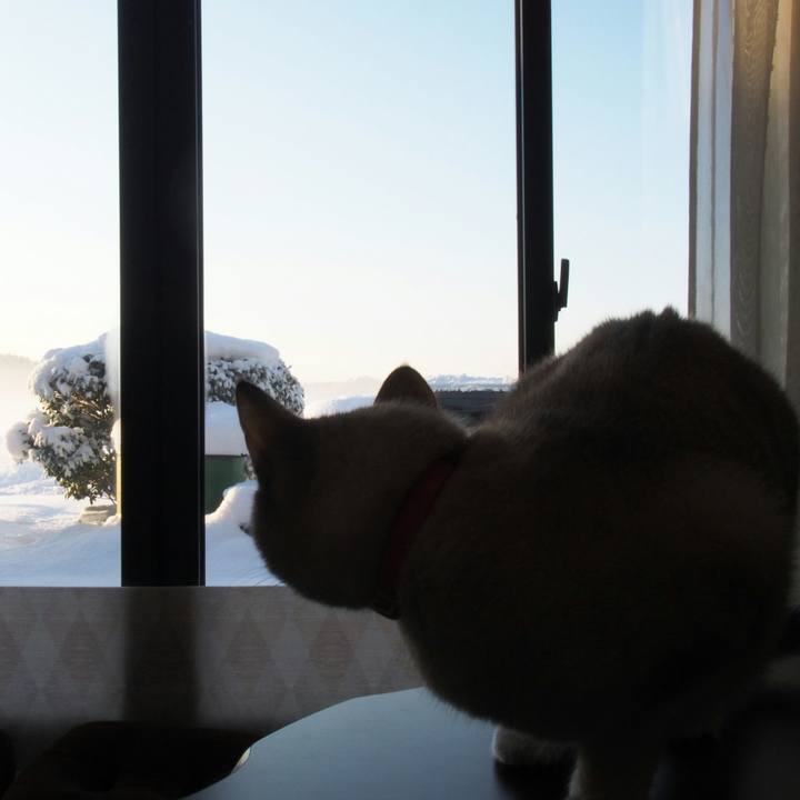 Bb4479c1 8ea9 49a8 93b1 a543e8c33e4a 1516800574742