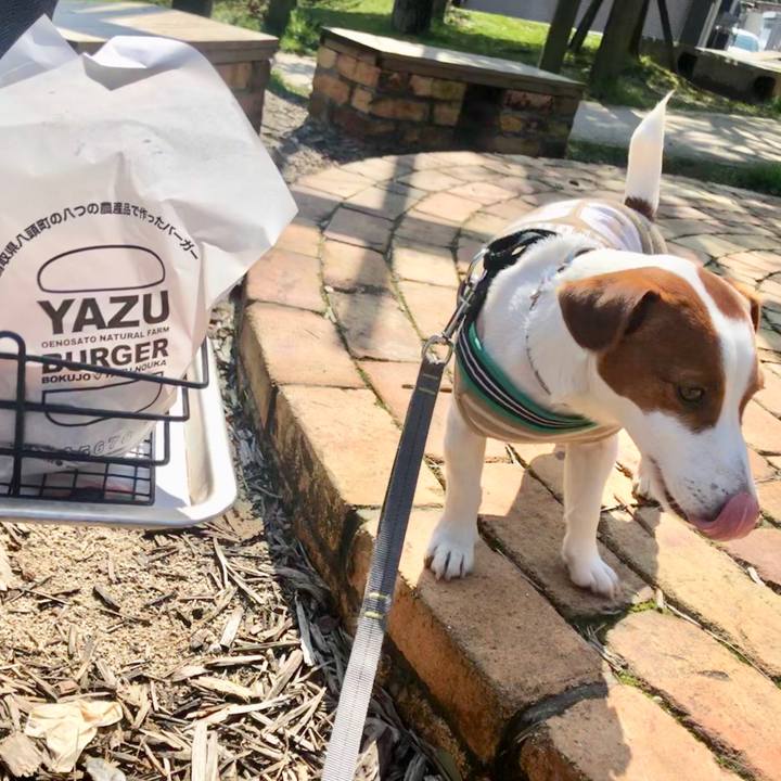 Bb44b10b 4c23 4007 96af 3edc26b0b51f 1551765350839